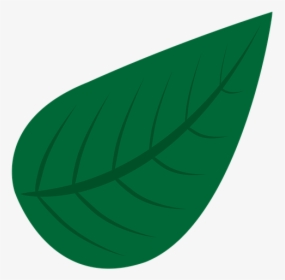 Natural, Green, Leave, Nature, Summer, Garden, Forest - Natural Leave Png, Transparent Png, Transparent PNG