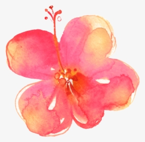 Painted Pink Hd Flower Petals Png, Transparent Png, Transparent PNG