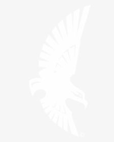 Uncw Soaring Seahawk Logo Black And White - Johns Hopkins Logo White, HD Png Download, Transparent PNG