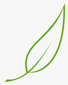 Green, Outline, Drawing, Leaf, Cartoon, Free, Color - Vector Leaf Line Art, HD Png Download, Transparent PNG