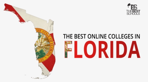 Hero Image For The Best Online Colleges In Florida - State Seal Of Florida, HD Png Download, Transparent PNG