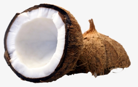 Coconut Cut In Half Png Image, Transparent Png, Transparent PNG