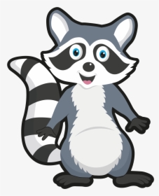 Raccoon Cartony Drawing, HD Png Download, Transparent PNG