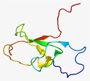 Protein Zzz3 Pdb 2fc7, HD Png Download, Transparent PNG