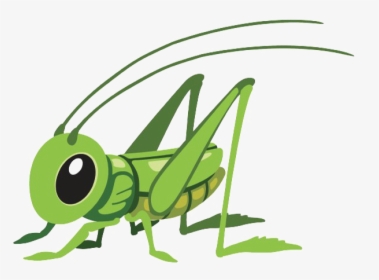 Grasshopper Cartoon Png, Transparent Png, Transparent PNG
