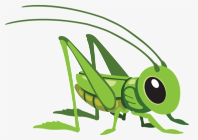 Grasshopper Png - Cartoon Grasshopper Png, Transparent Png, Transparent PNG