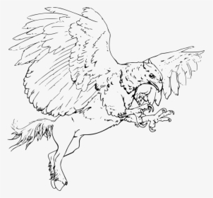 Line Art,head,coloring Book - Griffin, HD Png Download, Transparent PNG