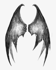 #stickergang #wings #demon #dragon #angel #whoknows - Transparent Demon Wings Png, Png Download, Transparent PNG