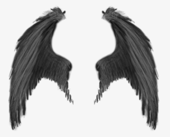 Demon Wings Png, Transparent Png, Transparent PNG