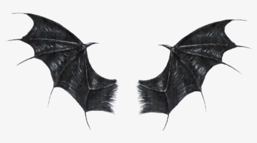 #stickergang #black #demon #dragon #wings #sweet - Dragon Wings, HD Png Download, Transparent PNG