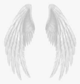 Wings - Devil Wings Png Hd, Transparent Png, Transparent PNG