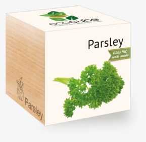 Parsley - Packaging Of Rosemary, HD Png Download, Transparent PNG