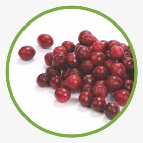 Cranberry Md Circle - Red Circle Fruit, HD Png Download, Transparent PNG