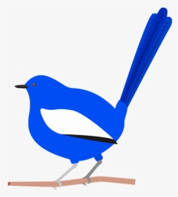 Blue Wren Cartoon, HD Png Download, Transparent PNG