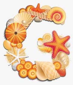 Letter G Abc By The Sheshore Pinterest Ⓒ - Seashell Clipart, HD Png Download, Transparent PNG