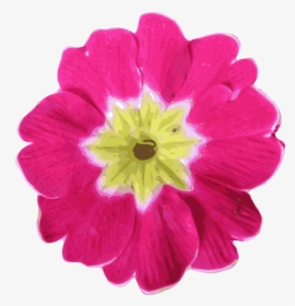 Flower-11 Clip Arts - Pink Flower Clip Art, HD Png Download, Transparent PNG