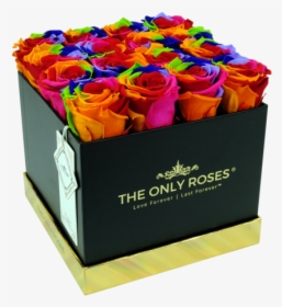 The Only Roses, HD Png Download, Transparent PNG