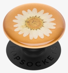 Null - Pressed Flower Popsocket Daisy, HD Png Download, Transparent PNG