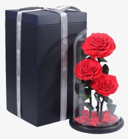 Wholesale Wedding Decoration Preserved Real Roses Flower - Garden Roses, HD Png Download, Transparent PNG