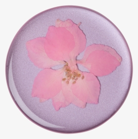 Popsocket Pressed Flower Delphinium Pink, HD Png Download, Transparent PNG