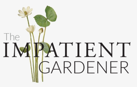 The Impatient Gardener - Floral Design, HD Png Download, Transparent PNG