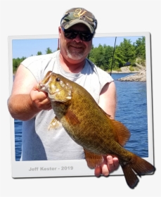 Smallmouth Bass - Pull Fish Out Of Water, HD Png Download, Transparent PNG