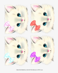 Kitten, HD Png Download, Transparent PNG