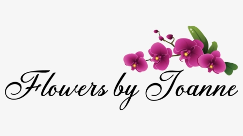 Flowers By Joanne - Moth Orchid, HD Png Download, Transparent PNG