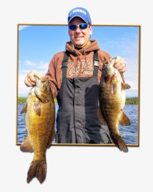 Smallmouth Bass - Jigging, HD Png Download, Transparent PNG