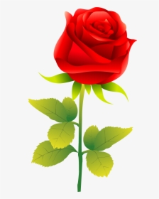 Rose Clip Art - Rose Vector Free, HD Png Download, Transparent PNG