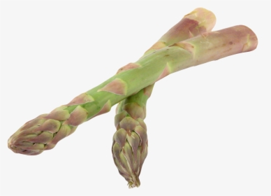 Asparagus Png Image - Asparagus, Transparent Png, Transparent PNG