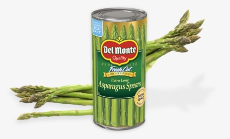 Extra Long Asparagus Spears - Monte, HD Png Download, Transparent PNG