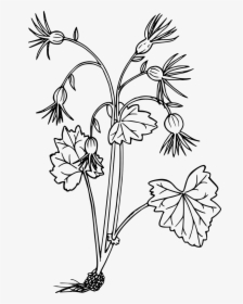 Wild Flowers Icon, HD Png Download, Transparent PNG