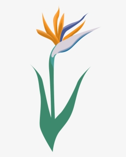Garden, Flower, Icon, Symbol, Blossom, Logo - Vectorial Y Mapa De Bits, HD Png Download, Transparent PNG