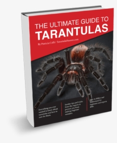 Ultimate Guide To Tarantulas, HD Png Download, Transparent PNG