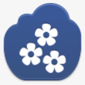 Facebook, HD Png Download, Transparent PNG