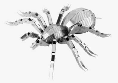 Spider Tarantula Metal Earth Model Kit - Insect Metal, HD Png Download, Transparent PNG