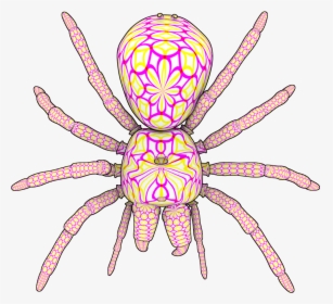 Insect , Png Download - Wolf Spider, Transparent Png, Transparent PNG