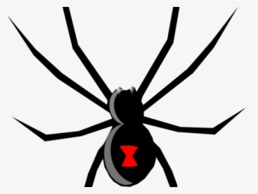 Tarantula Clipart Clip Art - Black Widow Spider Svg, HD Png Download, Transparent PNG