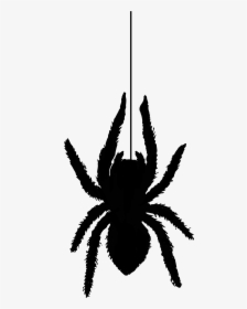 Spider Silhouette1353 Free Vintage Clip Art - Silhouette Spider Black Clipart, HD Png Download, Transparent PNG