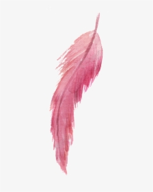 Transparent Black Feather Png - Pink Feather Png, Png Download, Transparent PNG