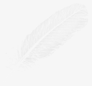 Large Transparent Png Digiscrap - Clear Background White Feather Png, Png Download, Transparent PNG