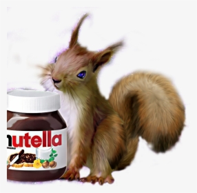 #squirrel #nutella #love #nutellalove, HD Png Download, Transparent PNG