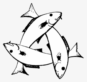 Transparent Christian Fish Clipart - Three Fish Symbol Meaning, HD Png Download, Transparent PNG