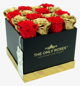 Red And Gold Preserved Roses - Garden Roses, HD Png Download, Transparent PNG