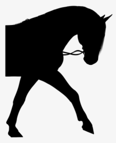 Horse, Silhouette, Pony, Bridle, Stallion, Animal - Girl On Horse Silhouette, HD Png Download, Transparent PNG