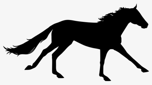 Transparent Running Horse Silhouette Png - Clipart Horse Galloping Silhouette, Png Download, Transparent PNG