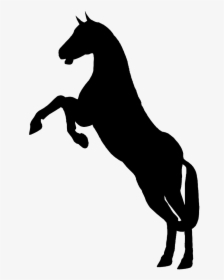 Silhouette Animal Horse - Horse Black And White Png, Transparent Png, Transparent PNG