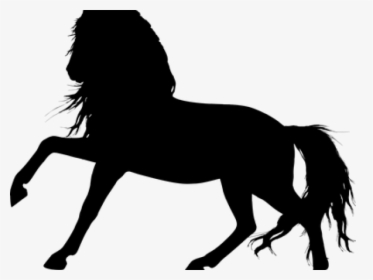 Stallion Clipart Silhouette - Horse Silhouette Transparent Background, HD Png Download, Transparent PNG