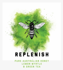Transparent Honey Bee Png - Green Color Blast Png, Png Download, Transparent PNG